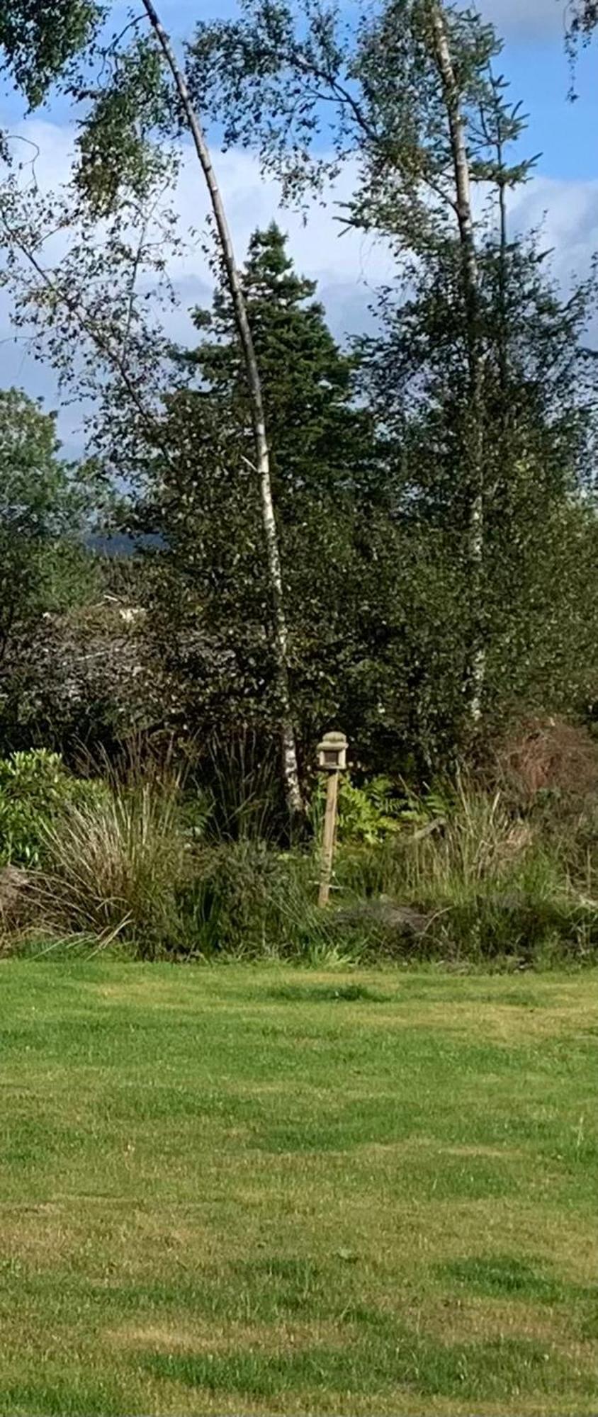 Tawny Owl Pod With Hot Tub Villa Oban Bagian luar foto